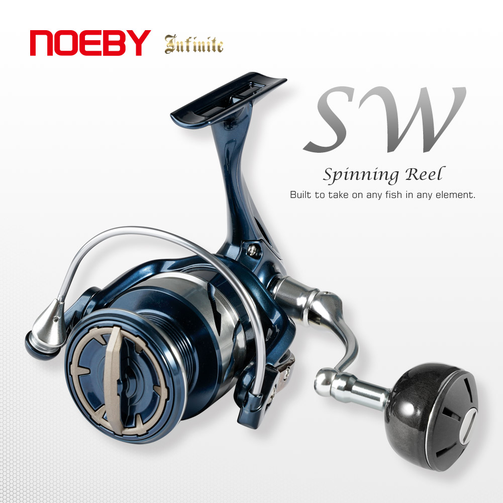 Noeby INFINITE SW Saltwater Sp - Daiwa Reel Bg 评论和价格